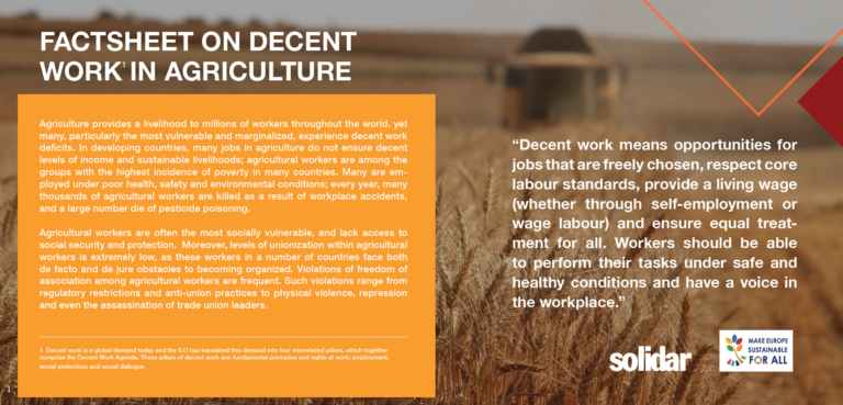 Factsheet on Decent Work in Agriculture